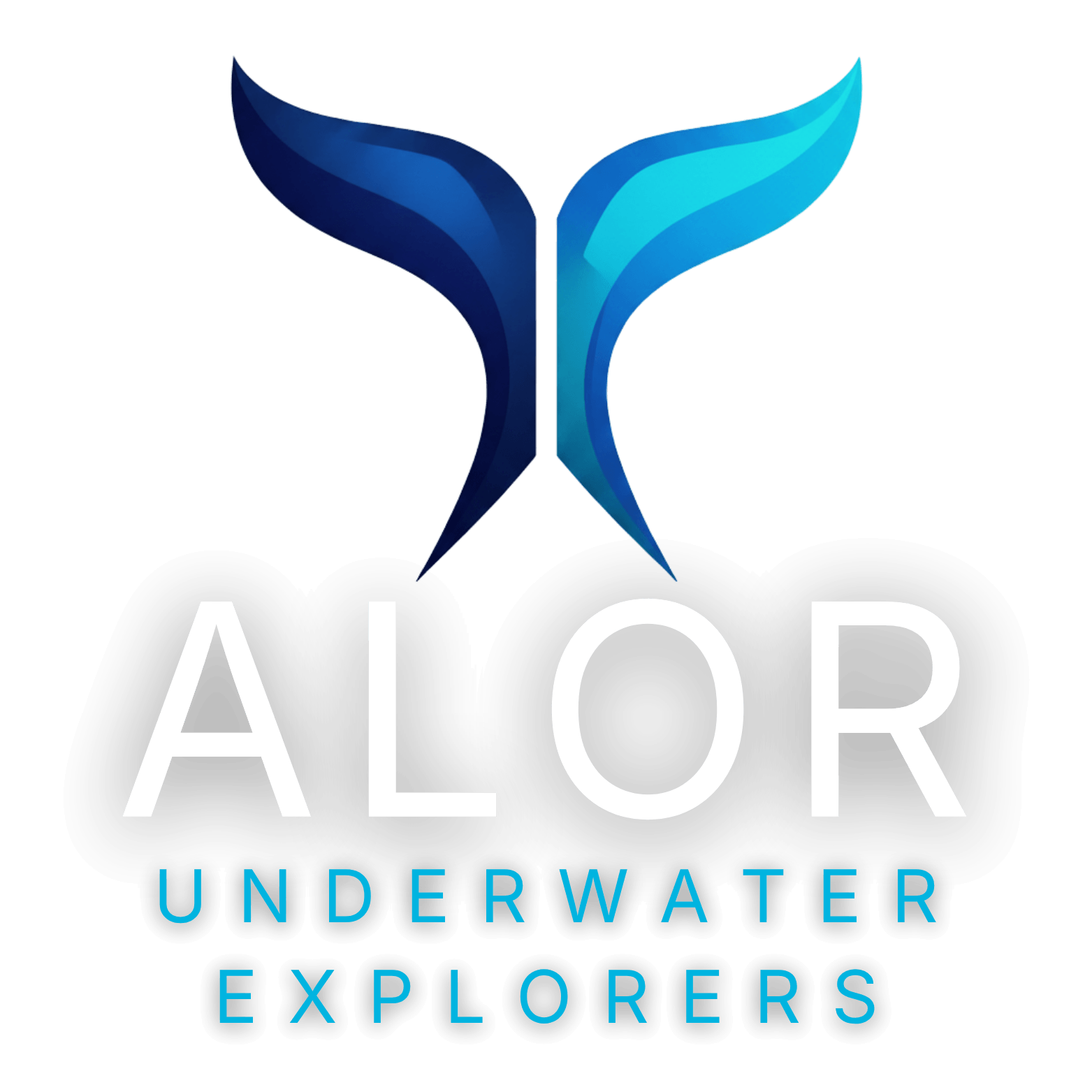 Alor Underwater Explorers