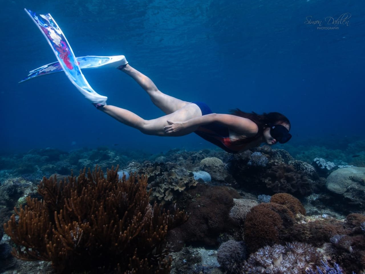 Snorkel Explorer Package