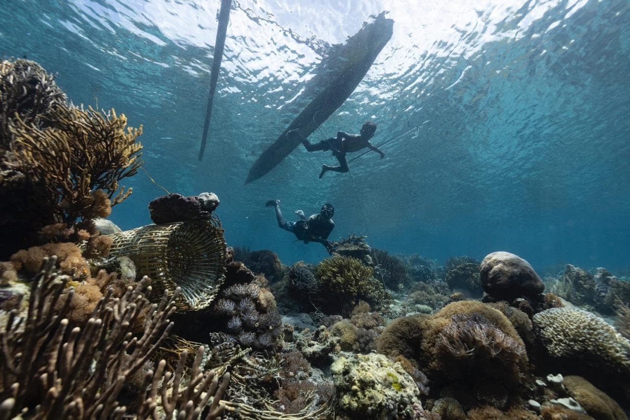 Snorkellers and freedivers over a shallow reef